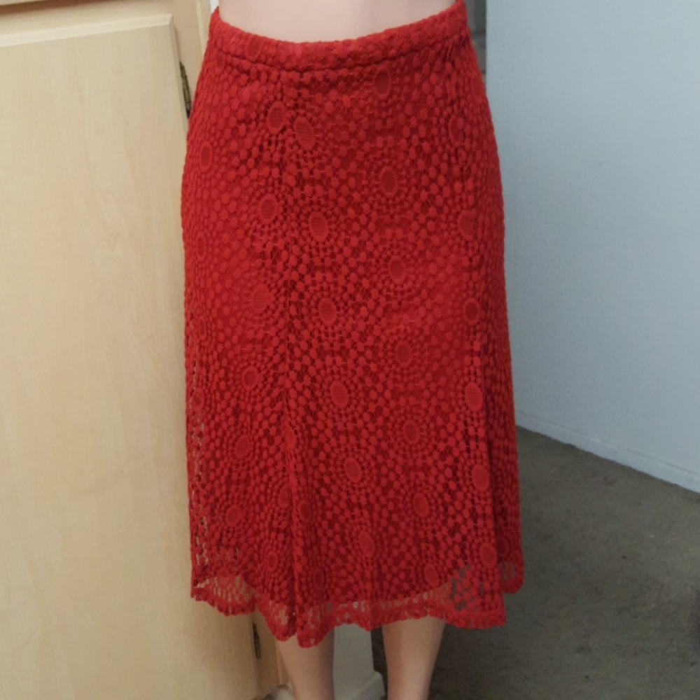 Sharagano Lace Skirt